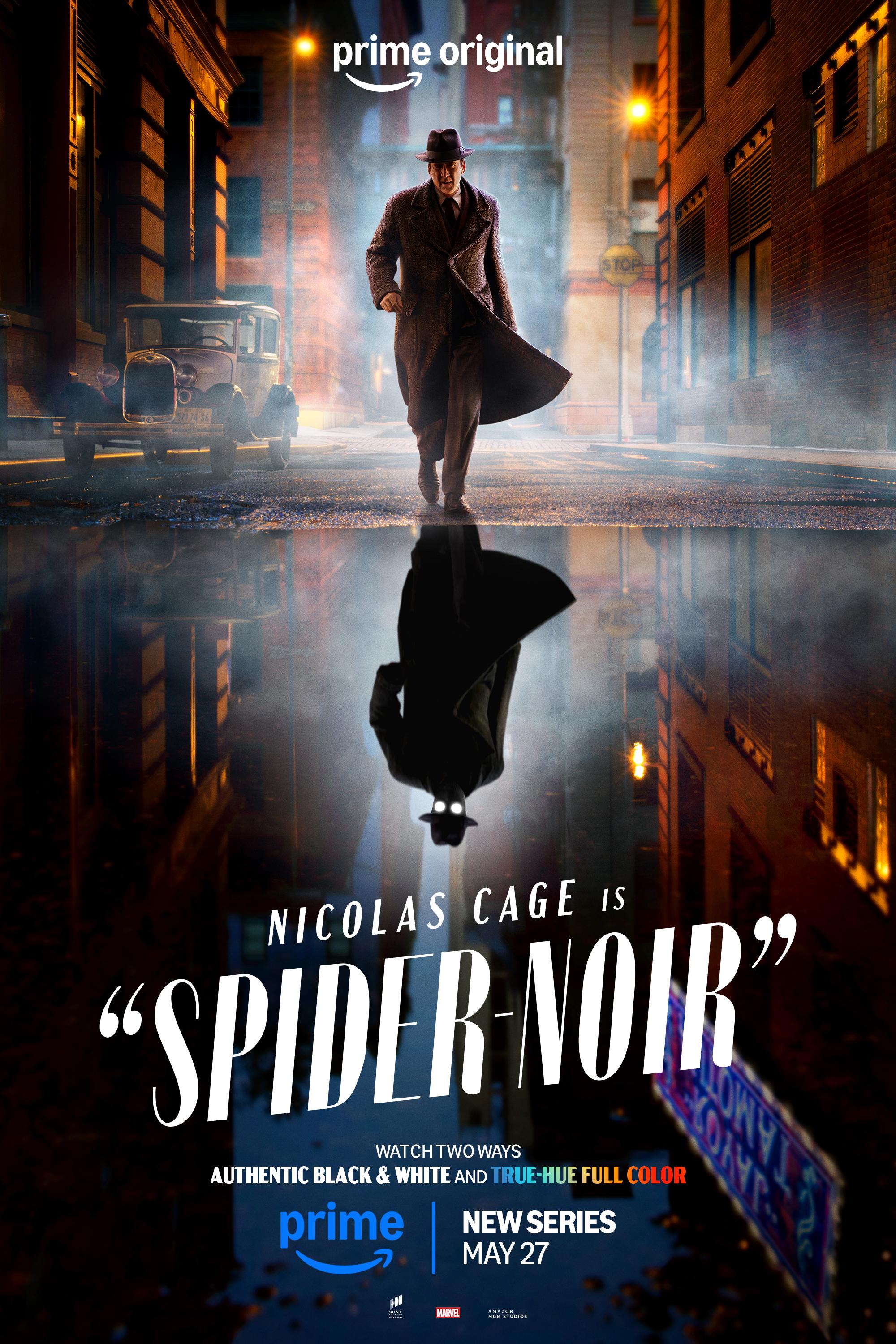 Pôster de Homem-Aranha Noir